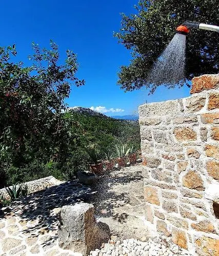 House Agava בית נופש *