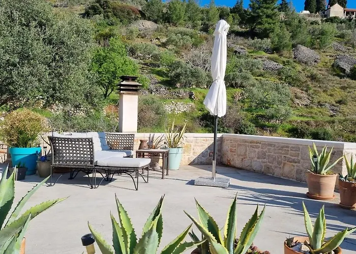 House Agava