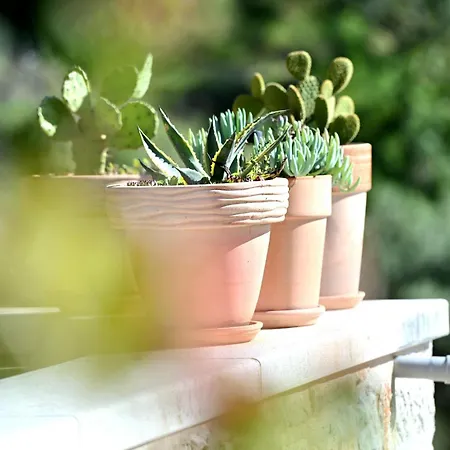 Vikendica House Agava